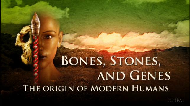 Bones, Stones and Genes: The Origin of Modern Humans